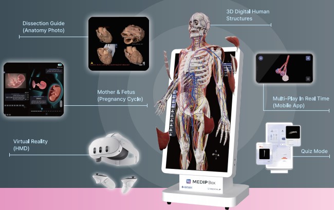 Bàn giải phẫu Medipbox 3D